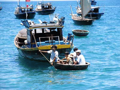 Ngư dân “trúng mùa” nhưng kém vui