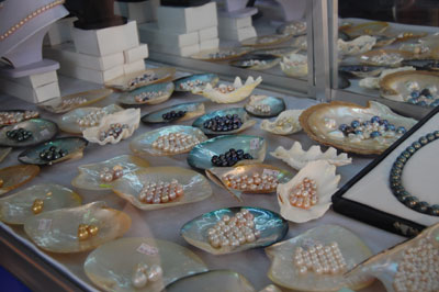 Triển vọng nghề nuôi trai lấy ngọc ở Phú Quốc