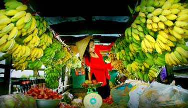 Festival Trái cây Việt Nam lần thứ nhất - 2010