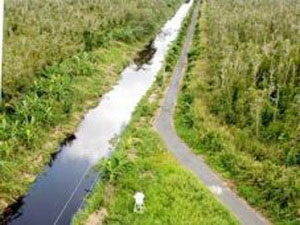 Tiếp tục bảo tồn, tôn tạo di tích U Minh Thượng