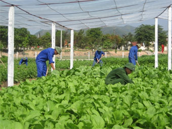 Mô hình điểm về công tác hậu cầu cho toàn quân
