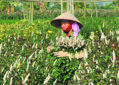 17 trường hợp sẽ không phải nộp lệ phí trước bạ