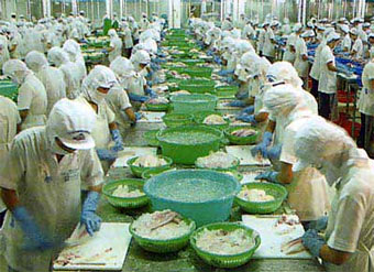 ĐBSCL: Không nên xây thêm nhà máy chế biến thủy sản