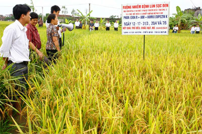 Khắc chế “sát thủ” lùn sọc đen
