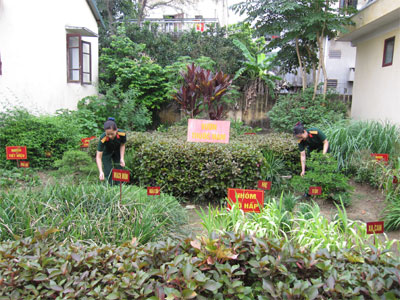 Tự túc 100% rau xanh, 55% thịt, 30% cá