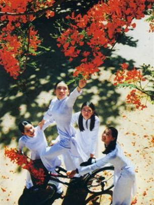 12A trong trái tim tôi!