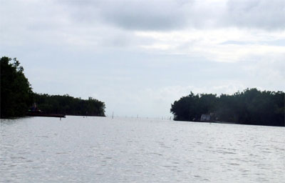 Trở lại Vàm Lũng (Bài 3)