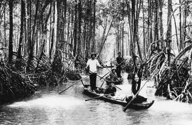 Chuẩn bị chu đáo từ những ngày đầu