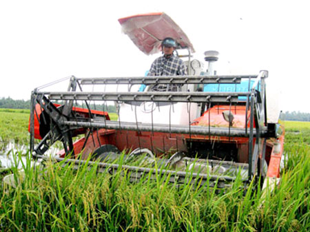 Tập trung mọi biện pháp, nâng cao thu nhập cho người dân