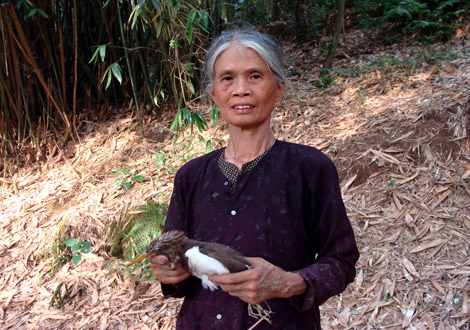 Đời nuôi chim trời!