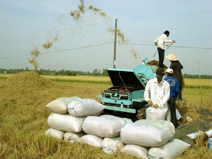 Giữ đất trồng lúa ở Nam Bộ