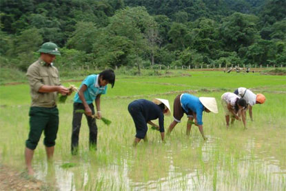 Kỹ sư nông nghiệp quân hàm xanh
