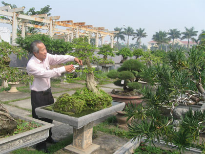 Người thổi hồn vào cây lá