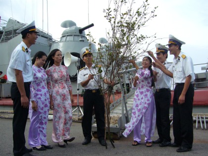 Những cành mai vàng nơi đảo xa