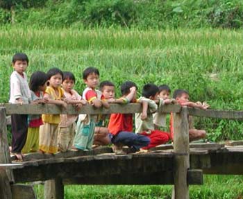 Phê duyệt Chương trình quốc gia bảo vệ trẻ em giai đoạn 2011-2015