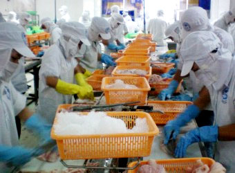 Năm 2011: Xuất khẩu thủy sản có nhiều cơ hội giữ kỷ lục 5 tỷ USD