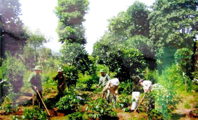 Triển khai các dự án kinh tế-quốc phòng giúp đồng bào xóa đói giảm nghèo