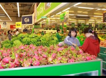 Xuất khẩu rau quả: Chuyên nghiệp hóa để nâng cao kim ngạch