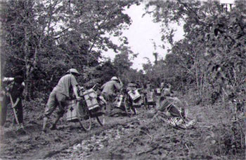 “Binh chủng” xe đạp thồ