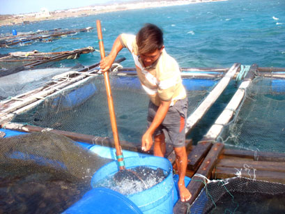 Phú Quý – những ngày biển nghiêng (Kỳ III)