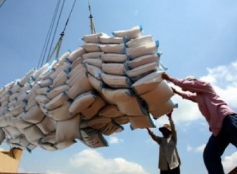 Phát triển lúa gạo: Cần hoạch định chiến lược dài hơi