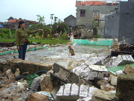 Tan hoang sau lốc xoáy