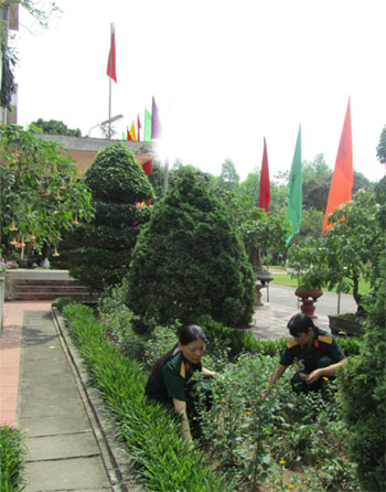 Phát động hưởng ứng Ngày Môi trường thế giới thiết thực, hiệu quả