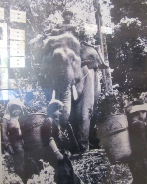 “Luồn sâu, lót sẵn” vũ khí, trang bị