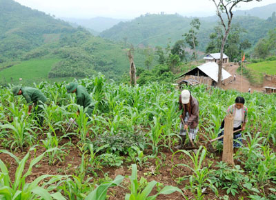 Chăm lo toàn diện, ổn định và phát triển Mường Nhé (Bài 1)