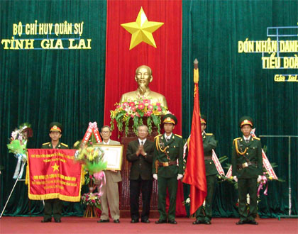 Đón nhận danh hiệu Anh hùng LLVT nhân dân