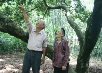 Những điều chưa biết về Minh Chính - tác giả bài thơ “Đi học” (Kỳ 2)