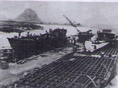 Chủ động, đa dạng hóa phương tiện vận tải