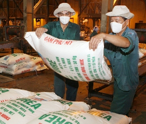 Tăng cường nguồn hàng, đáp ứng đủ nhu cầu cho vụ Đông Xuân 2012