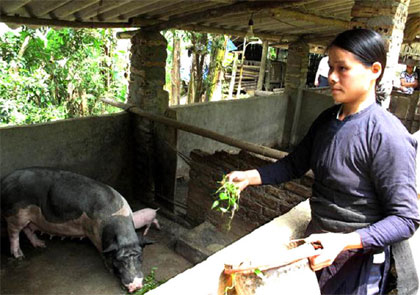 Nước non Cao Bằng (Tiếp theo và hết)