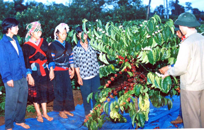 Bản Mông ở cuối dãy Trường Sơn (Bài 3)