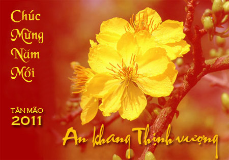 CHÚC MỪNG NĂM MỚI 2011