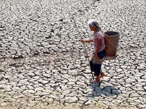 Nhà nước hỗ trợ trên 100 tỷ đồng phòng chống hạn