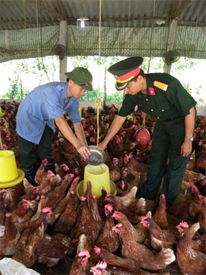 Mô hình trại gà ở Đoàn B12