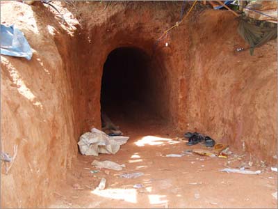 Bãi vàng lộn xộn