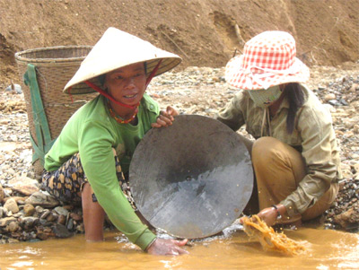 Đổ xô đi “mót” vàng