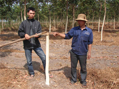 Cần xét xử nghiêm minh kẻ phạm pháp