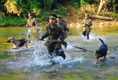 Bắt 198 đối tượng tội phạm trong đợt cao điểm