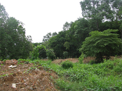 Góc tối trong công viên Gia Định