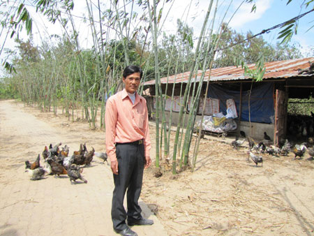 Người cựu chiến binh làm giàu trên đồi cát trắng