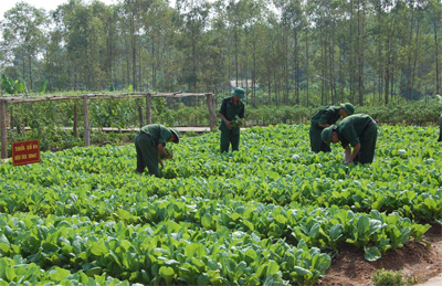 Tăng mức tiền ăn cơ bản bộ binh lên 40.000 đồng/ngày