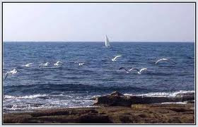 Duy trì hòa bình và ổn định ở Biển Đông là cần thiết cho toàn bộ khu vực