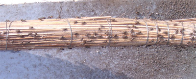 Gần trại gà, khổ vì ruồi