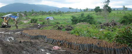 Bài 2: Đi tìm giải pháp giữ rừng bền vững