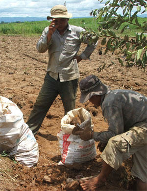 Đào bới đất sản xuất tìm vàng ở huyện Sông Hinh - Hậu quả khó lường!