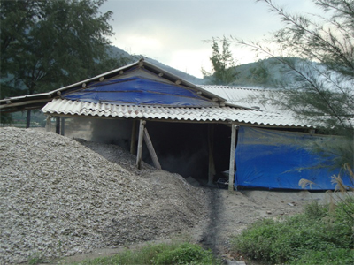 Sớm có chính sách tạo việc làm cho người nông dân